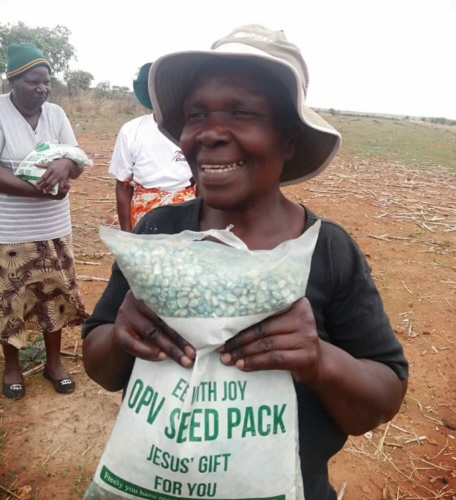 Eat with Joy - Maize seed Project